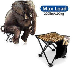 Animal Print Camping Chairs