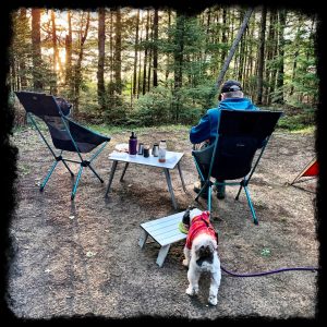 Dog Camping Chairs