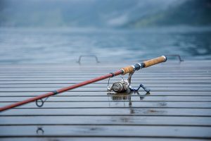 Feesh Stick Fishing Rods