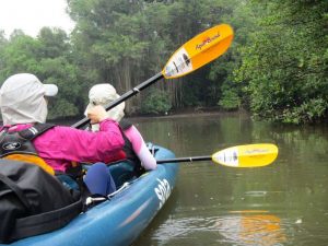 Inflatable Kayaks With Paddles