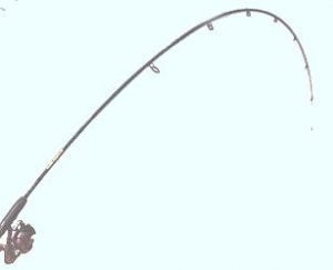 Micro Light Fishing Rods
