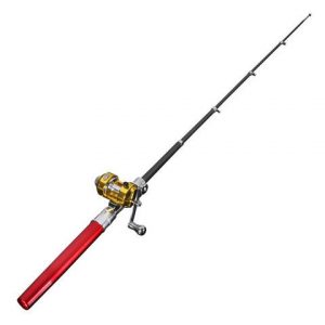 Micro Pen Fishing Rods