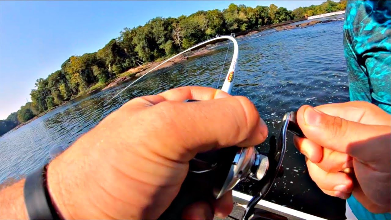 Best Most Expensive Fishing Rods 2024 Special Offers