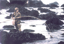 Poke Pole Fishing Rods