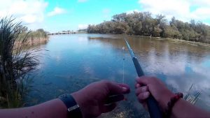 Shakespeare Telescopic Fishing Rods