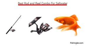 Surf Fishing Rods And Reel Combos