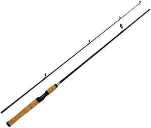 Two Piece Fishing Rods