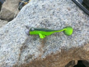 Green rubber fish with lead head on stone