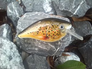 Wobbler trout perch