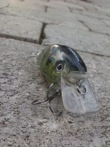 Proberos Wobbler squarebill