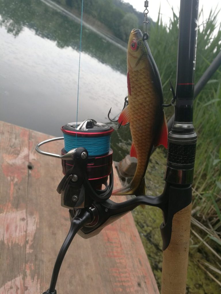 Big bait, big fish and load on the reel.  The Fuego has done very well so far.