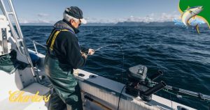 Dauphin Island fishing charters