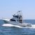Martha's Vineyard Fishing Charters