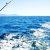 Door County Fishing Charters