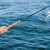 Fishing Charters Anna Maria Island