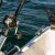 Shem Creek Fishing Charters