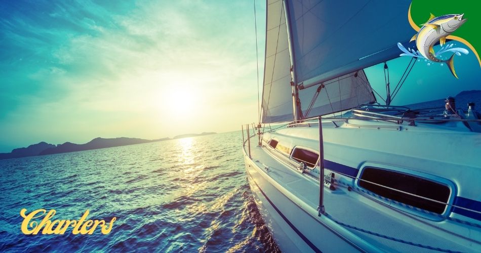 Puffin fishing charters