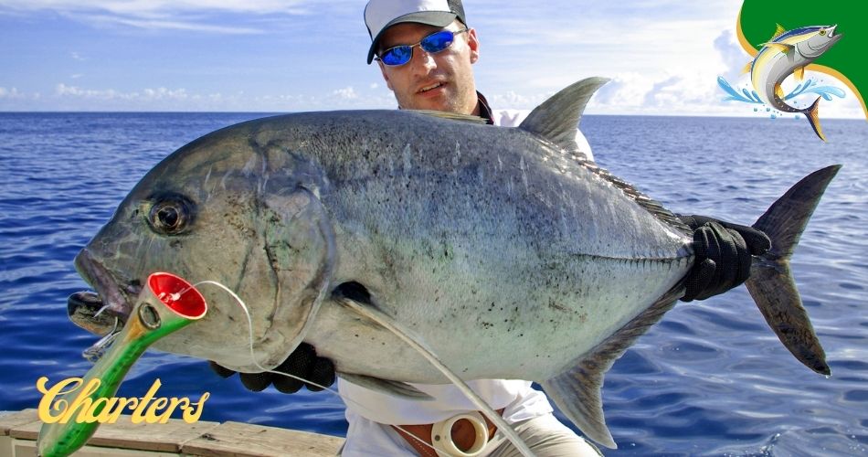 Hollywood Florida fishing charters