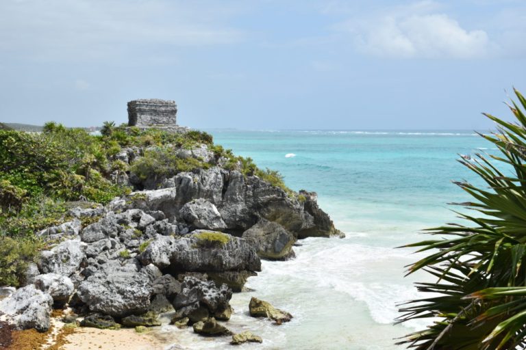 Explore the Ocean's Beauty and Rent a Boat in Tulum, Mexico Captain Dixon