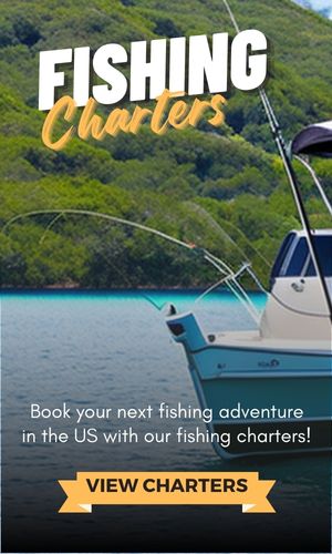Fishing Charters in US Banner