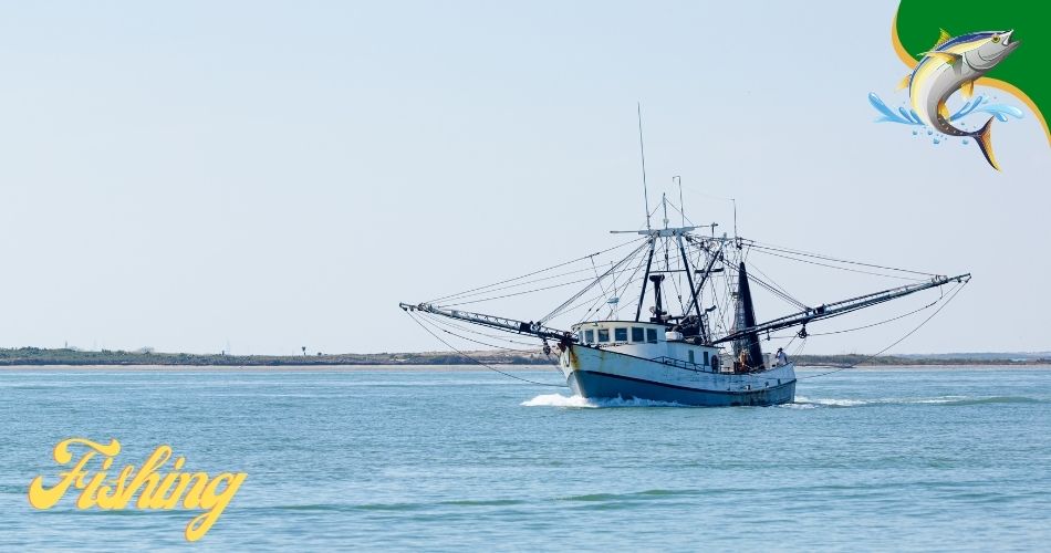 Reel in the Fun Exploring Texas' Saltwater Fishing Limits Captain Dixon