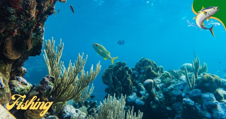 fish and wildlife foundation of florida