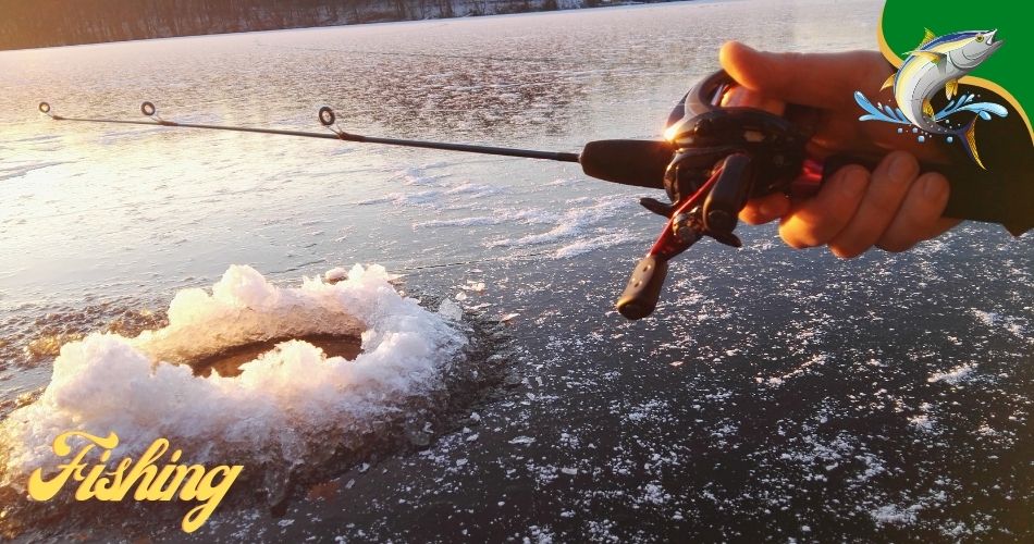 ice fishing rods