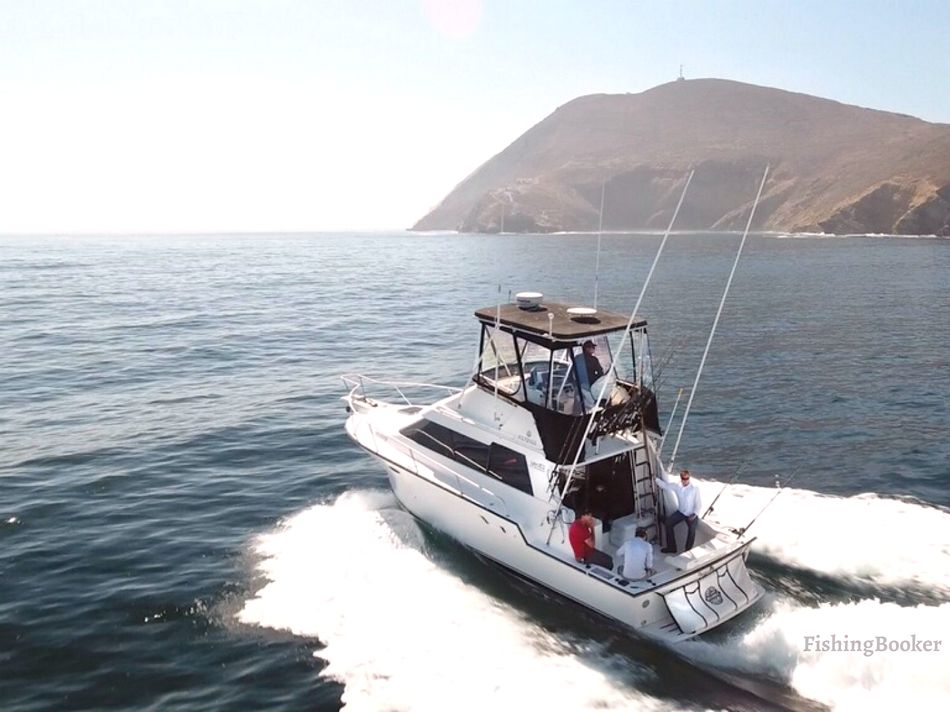 Buy Fishing Boats in Santa Cruz